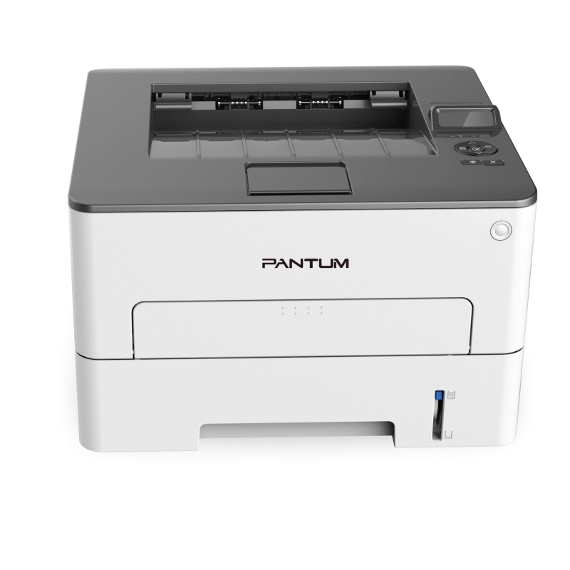 P3010DW-2
